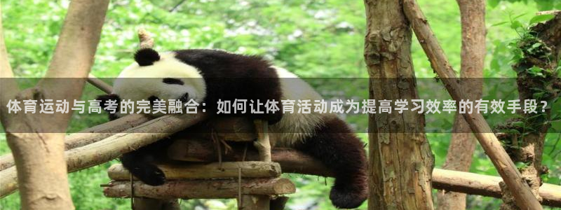 ug环球官网注册：体育运动与高考的完美融合：如何让体育活动成为提高学习效率的有效手段？