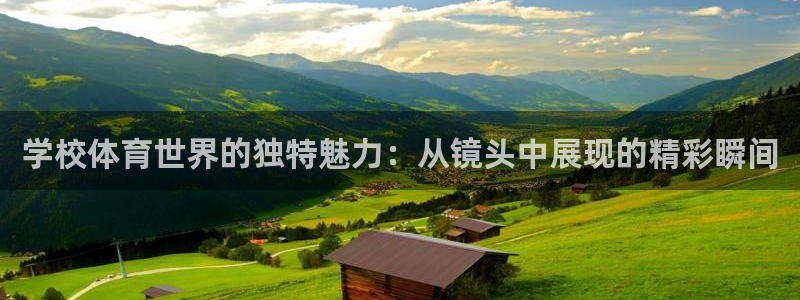 ug环球官网登录入口：学校体育世界的独特魅力：从镜头中展现的精彩瞬间