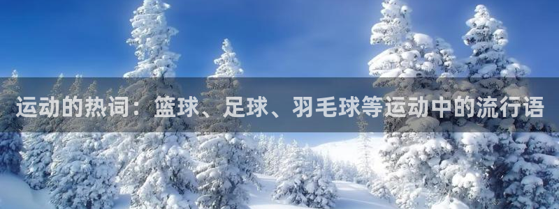 ug环球官网登录入口：运动的热词：篮球、足球、羽毛球等运动中的流行语
