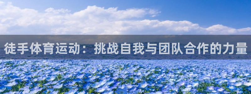 ug环球官网注册：徒手体育运动：挑战自我与团队合作的力量