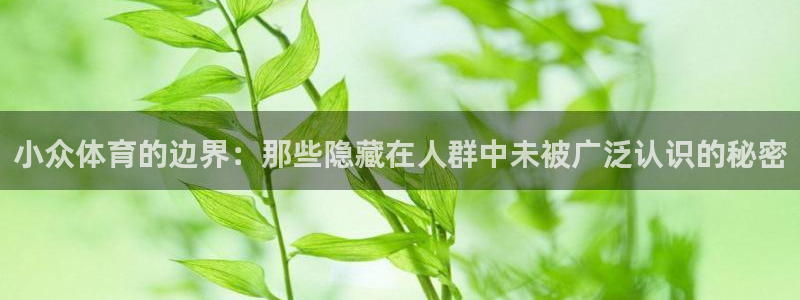 ug环球官网登录入口：小众体育的边界：那些隐藏在人群中未被广泛认识的秘密