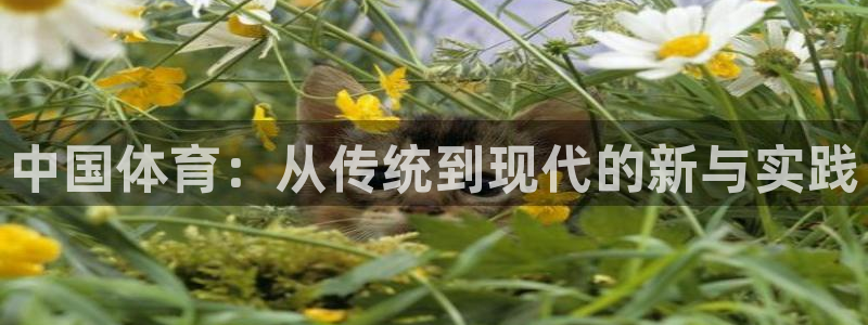 ug环球官网登录入口：中国体育：从传统到现代的新与实践