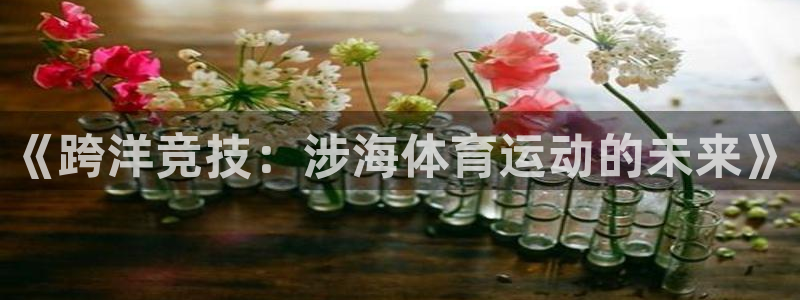 ug环球官网登录入口：《跨洋竞技：涉海体育运动的未来》