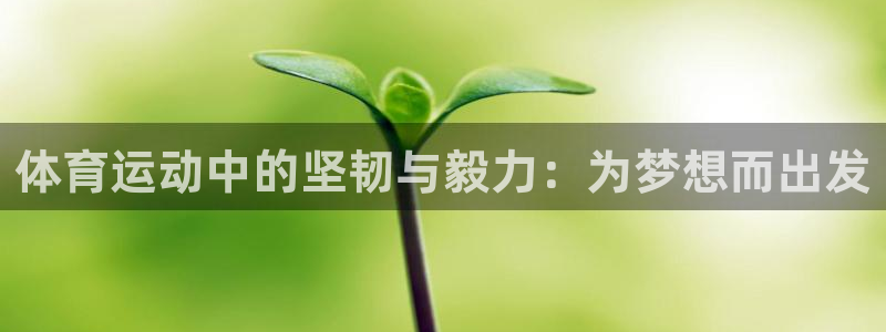 菲律宾ug环球官网：体育运动中的坚韧与毅力：为梦想而出发