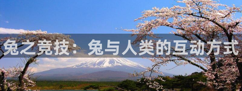 菲律宾ug环球官网：兔之竞技：兔与人类的互动方式